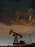 steffen_rault_petrole_02