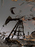 steffen_rault_petrole_04