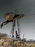 steffen_rault_petrole_05