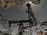 steffen_rault_petrole_06