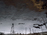 steffen_rault_petrole_10